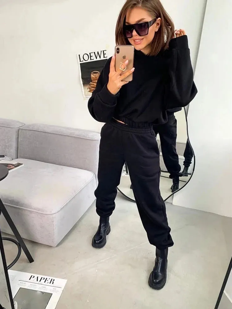 LVSANW 2024 autumn new women's leisure suit solid color long sleeved loose hoodie sports trouser Female winter fashion two piece set